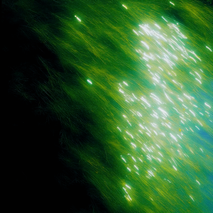 浮 游 (Ephemera)