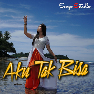 Aku Tak Bisa (TrapMix)