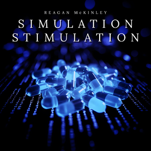 Simulation Stimulation