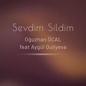 Sevdim Sildim