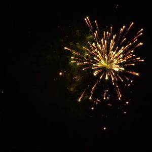 贰零贰肆（古筝版）