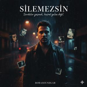 Silemezsin