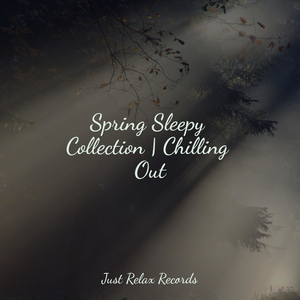 Midnight Meadows Mist