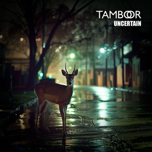 Uncertain