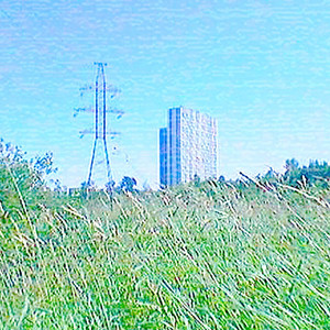 Рисунки