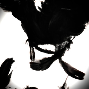 HeartBreak (feat. DollarBoi$tackin & Yani Melancholy)