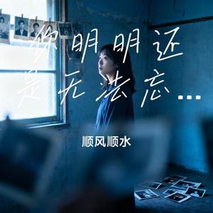 你明明还是无法忘记 (Cover 我期待的不是你)