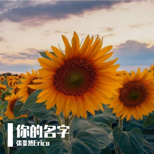 雪落（不负深情版）