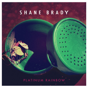 Terms and Conditions