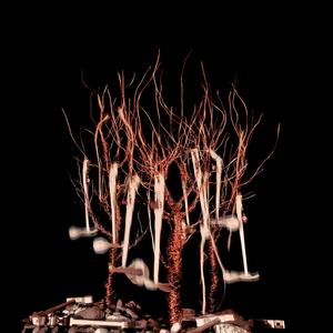 Miaou (feat. Antoine Dufour, Tommy Gauthier & Larnell Lewis)