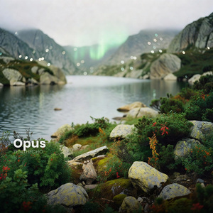 Opus