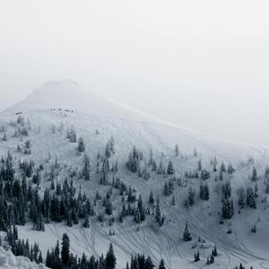 学习白噪音-【暴风雪山庄】25