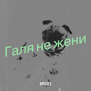 Галя не жени