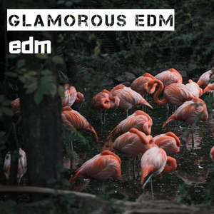 Glamorous EDM