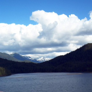 Peace on Earth (Lyric)