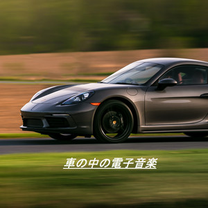 私たちはガソリンスタンドでガスを注ぎます