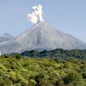 El Zorro de Autlán de la Grana