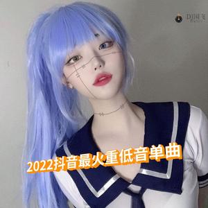 DJ国飞-2022抖音最火重低音单曲（DJ国飞 remix）