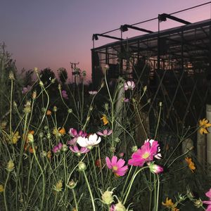 当我看着你（DEMO)