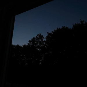 a v a s t h a (Radio Edit)