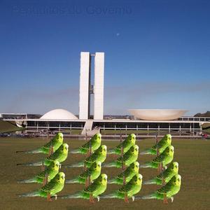 Note E Anote A Noite - V. Se Não Chorou, Então Chora