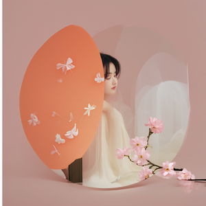 故人泪（抖音热播版）