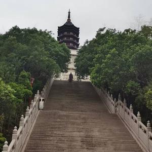 画中仙（cover金莎）