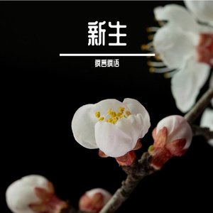 像没受过伤一样