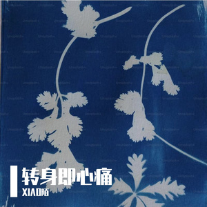 转身即心痛（Live）