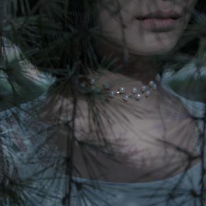 若能等风月枕上满庭秋