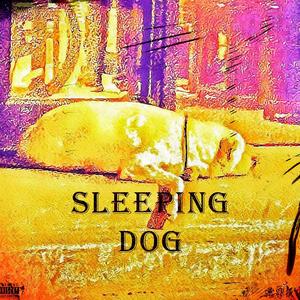Sleeping Dogs
