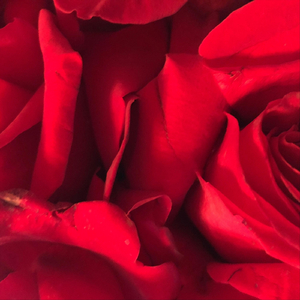 Beautiful Eyes (Acoustic Version)