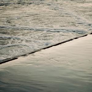 Bright Among the Bloom