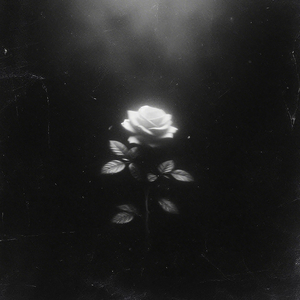 等一场冬眠 (feat.NIKS)