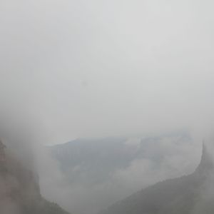 涩维谷中的白鸟