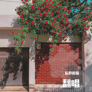 心墙（弹唱）（翻自 郭静）