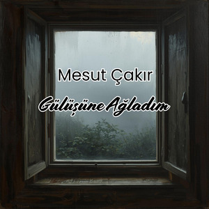 Gülüşüne Ağladım