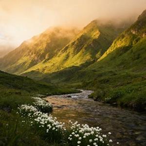阿麽 (Cover 周林枫)