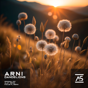 Dandelions (ALAT Remix)