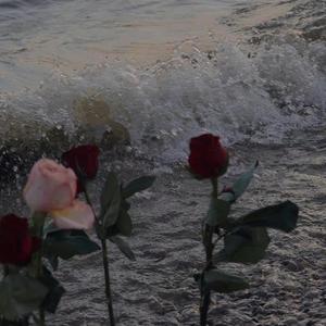 Serendipity（完美的事物总会不期而遇）