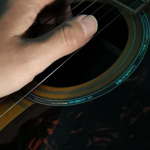 《手》词曲唱赵鑫