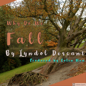 Why Do We Fall
