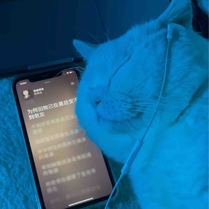 我走后.mp3