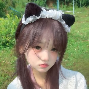 自由的风无法囚禁