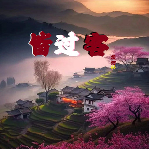 皆过客