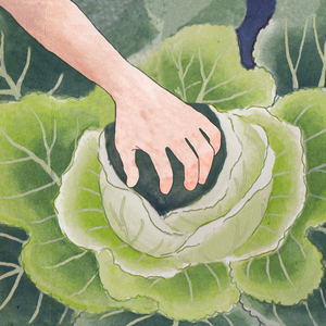 Funeral de la Planta