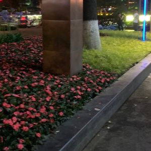 吃完汉堡的即兴prod. by Depo