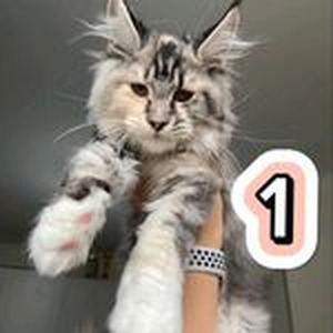 Mind Over Matter slowed and reverb