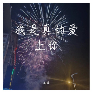 我是真的爱上你