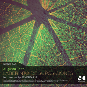 Laberinto de Suposiciones (Original Mix)